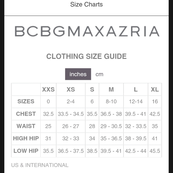 BCBGMaxazria | Rose Lace Up Maxi Gown 12 - Picture 10 of 11